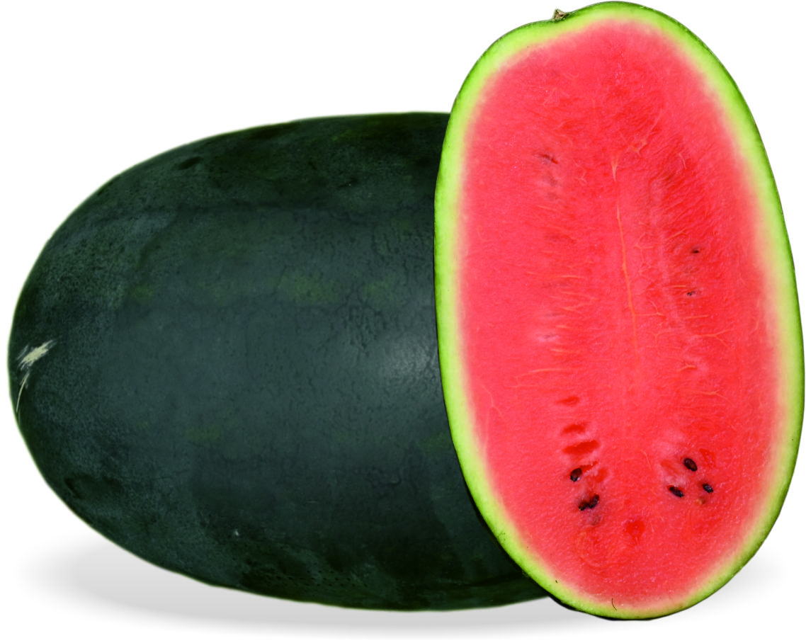 Boltar